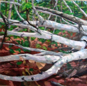 Birch branches Birch branches